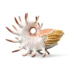 Cooperoceras