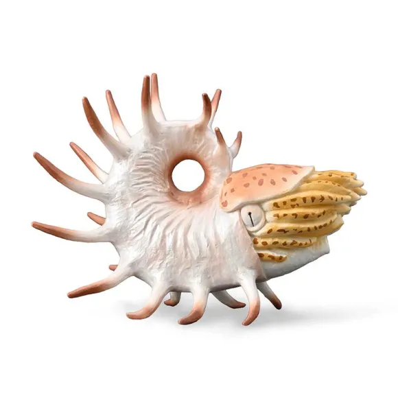 Cooperoceras