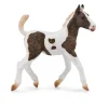 Curly Foal