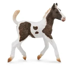 Curly Foal