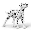 Dalmatian