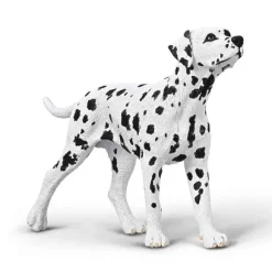 Dalmatian