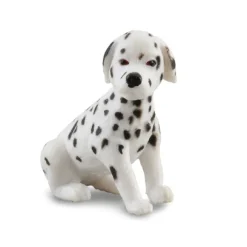 Dalmatian Puppy
