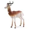 Dama Gazelle