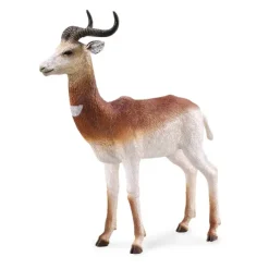 Dama Gazelle