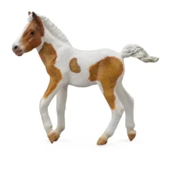 Dartmoor Hill Foal Skewbald