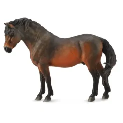 Dartmoor Pony Bay