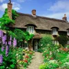 Delightful Dales - 1000 Piece Jigsaw Puzzle