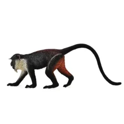 Diana Monkey