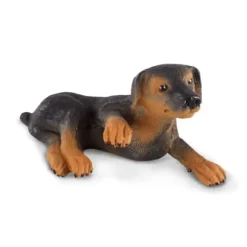 Doberman Pinscher Puppy