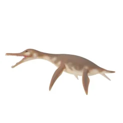 Dolichorhynchops