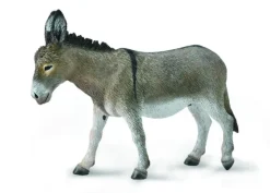 Donkey