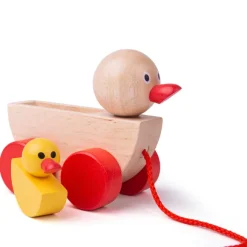 Duck and Duckling