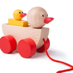 Duck and Duckling
