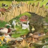 Duck, Duck, Goose - BIG 250 Piece Jigsaw Puzzle