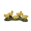 Ducklings