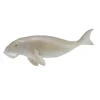 Dugong