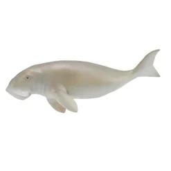 Dugong