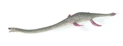 Elasmosaurus