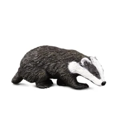 Eurasian Badger