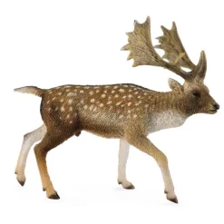 Fallow Deer Male