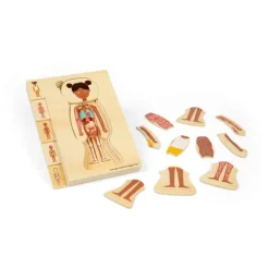 Female Human Anatomy Puzzle
