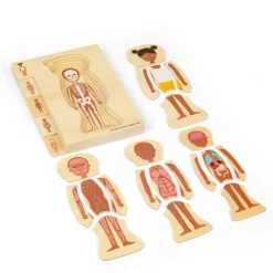 Female Human Anatomy Puzzle