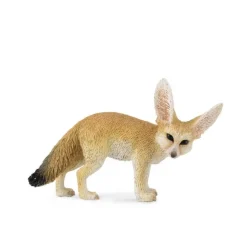 Fennec Fox