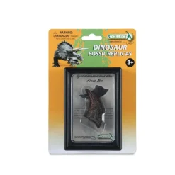 First Toe Of T-Rex In Display Case
