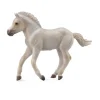 Fjord Foal Grey
