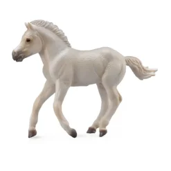 Fjord Foal Grey