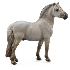 Fjord Stallion Grey