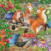 Foxy Ladies - 1000 Piece Jigsaw Puzzle