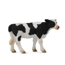 Friesian Calf Standing
