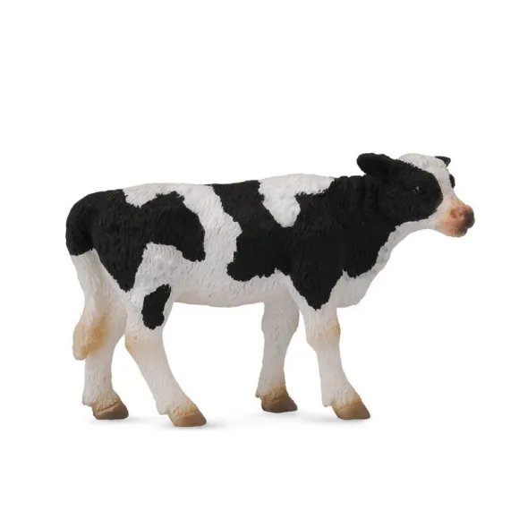 Friesian Calf Standing