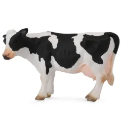 Friesian Cow