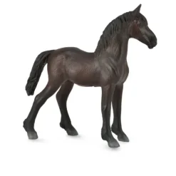 Friesian Foal - Black