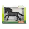 Friesian Mare Deluxe Window Box