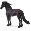 Friesian Stallion