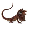 Frill Necked Lizard