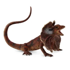 Frill Necked Lizard