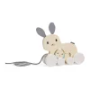 FSC® Certified Pull Along Bunny & Baby