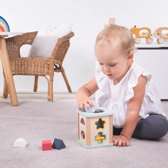 FSC® Certified Shape Sorter