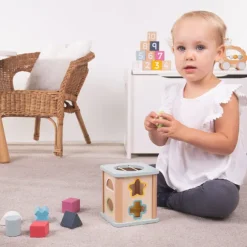 FSC® Certified Shape Sorter