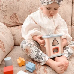 FSC® Certified Shape Sorter