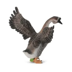 Gander