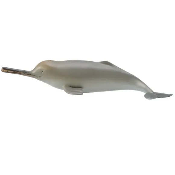 Ganges River Dolphin