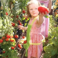 Garden Apron