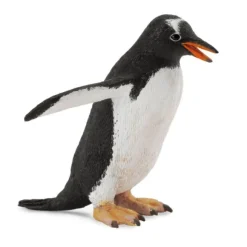 Gentoo Penguin