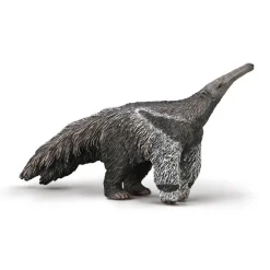 Giant Anteater